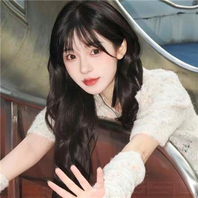 罗伯特·唐尼：自成一格