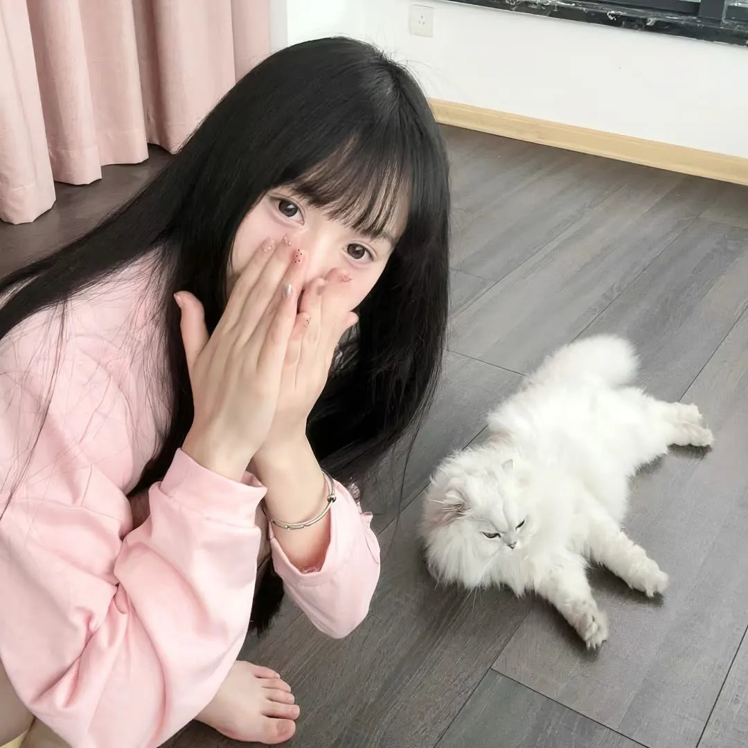 梦墙